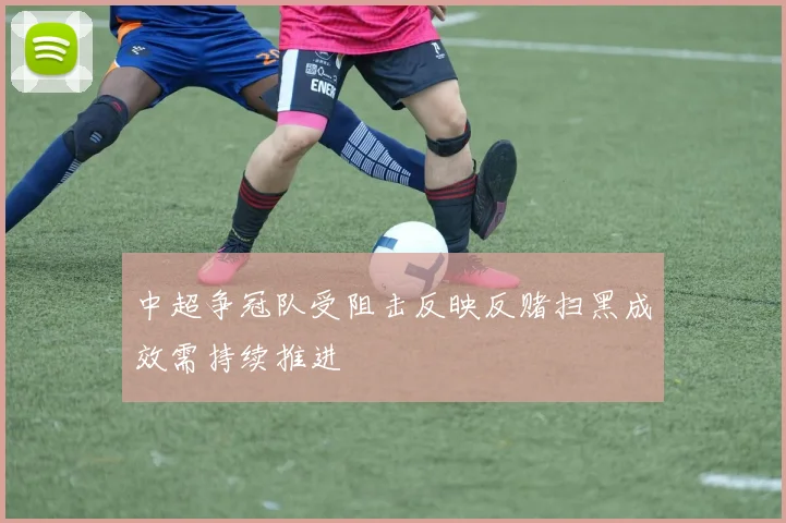 中超争冠队受阻击反映反赌扫黑成效需持续推进
