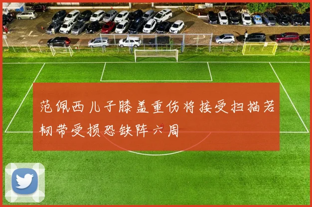 范佩西儿子膝盖重伤将接受扫描若韧带受损恐缺阵六周