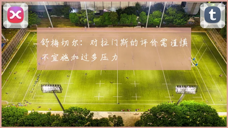 舒梅切尔：对拉门斯的评价需谨慎不宜施加过多压力