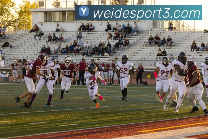 伟德体育平台生态图