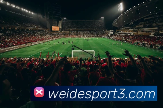 伟德体育APP 封面图